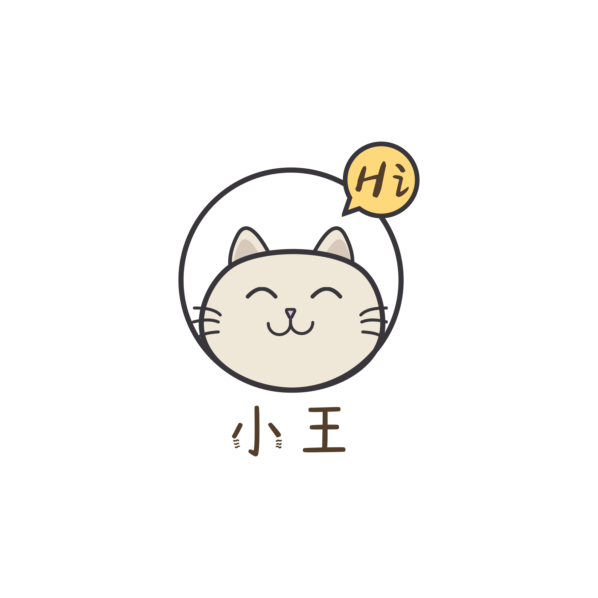 小王个人引导页